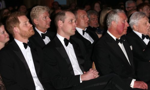 Princ Harry ponovno je razočarao cijelu palaču, a do ruba je, jednom rečenicom o princezi Diani, doveo svog oca i brata