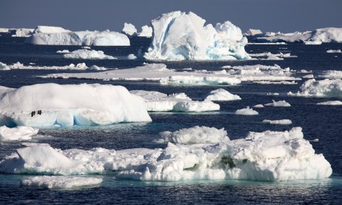 Antarktika: Godišnji maksimum zaleđene morske površine na najnižoj razini u 44 godine