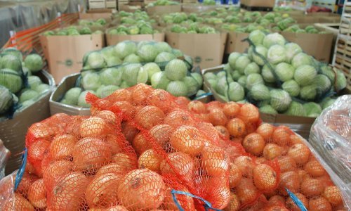 Europska komisija odobrila 54 milijuna eura bespovratnih sredstava za centre za voće i povrće u Hrvatskoj