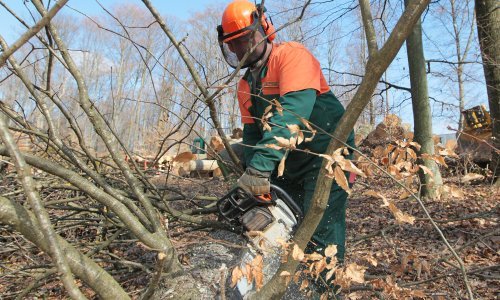 Nastavnici i ravnatelji negoduju: 'Ovo je, blago rečeno, tužno i jadno!', Čazma ostaje bez gimnazije, Vukovar bez dijela nastave na ćirilici