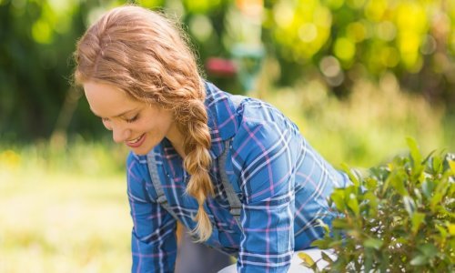 Zbilja djeluje: Ovaj trik s aspirinom naprosto morate isprobati u vašem vrtu