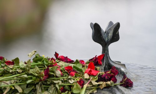 Spomen na žrtve logora smrti kod spomenika Cvijet u Jasenovcu