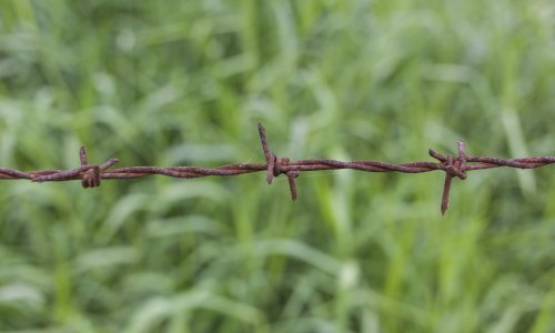 General Mahmuljin uhićen zbog ratnih zločina mudžahedina