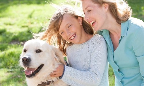 Čivave su nervozne, a zlatni retriveri dobrodušni: čista zabluda. Pasmina ne može otkriti kako će se pas ponašati