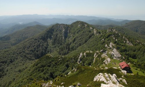 Smrekov potkornjak uništava šume u Gorskom kotaru