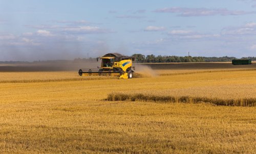 U ovogodišnjoj žetvi očekuje se oko milijun tona pšenice