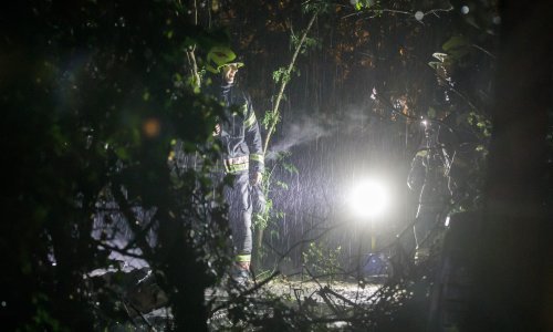 Lokaliziran požar između Barbarige i Peroja, izgorjelo 10 hektara trave