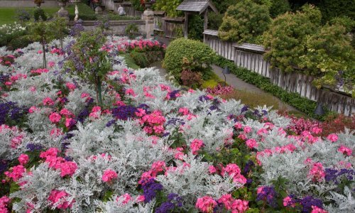 Tajna prekrasnog vrta krije se u kontrastima: Posadite biljke srebrnih listova i uživajte u najljepšim prizorima