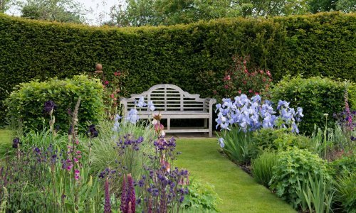 Štite od pogleda, a i lijepo izgledaju: Ovi grmovi predstavljaju dobar izbor za živicu