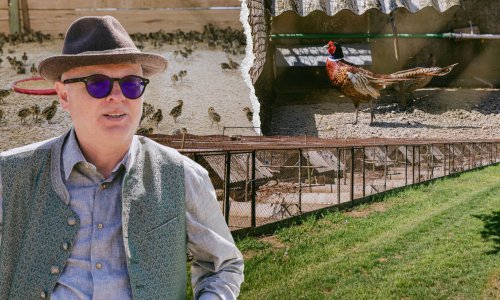 Pilot među fazanima: Kad mu je doktor rekao da će ga stres ubiti, Stanko Kočevar uložio je 16 mil. kuna u ovu farmu. Donosimo njegovu nevjerojatnu priču