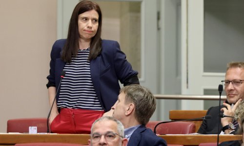 Peović: Napao me lik u dućanu, derao se da nas četnike sve treba povješati na bandere