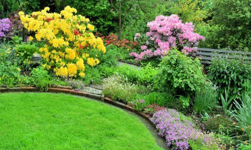 Svakom vrtu treba barem jedan žuti grm: 10 najljepših cvjetnih sorti u boji koja pršti optimizmom i kreira prizore za uživanje