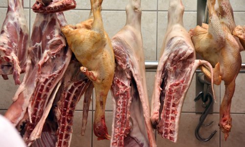 Inspekcija pronašla 42 tone mesa s istekom roka trajanja