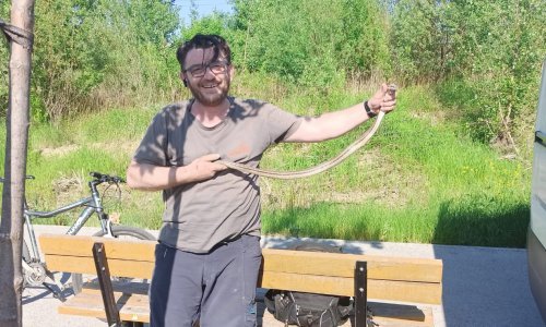 [FOTO] Dostavljača u Zagrebu iznenadila zmija duga 170 centimetara, skoro mu se uvukla u vozilo