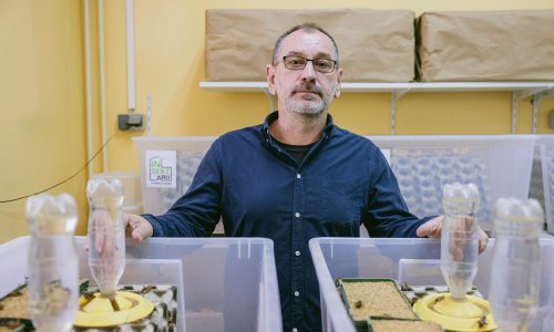 Uskoro ćemo u trgovinama moći kupiti brašno od cvrčaka ili skakavaca: 'Sve što hoda može se i jesti, pa i žohari'