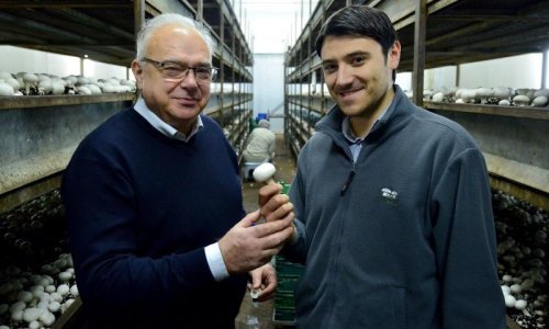 Rastu kao gljive poslije kiše, vole ih u EU-u iako ih izvoz ne zanima