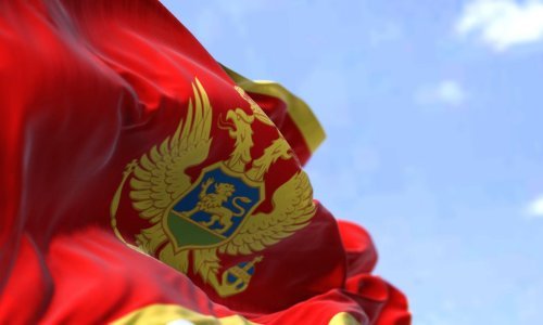 Crna Gora poslala vojnu i humanitarnu pomoć Ukrajini