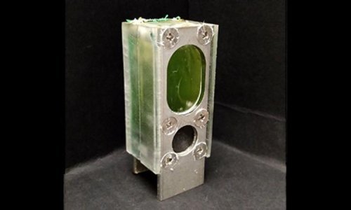 Znanstvenici su stvorili računalo od algi kojeg pokreće - fotosinteza