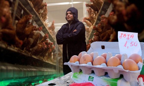 Hrvatska je u ratu proizvodila dovoljno jaja, a sad farmeri napuštaju biznis zbog golemih troškova i uvoza: 'Teška su vremena'