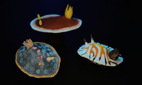 Izložba akademske kiparice Manuele Pauk donosi priču o bogatstvu najveće predstave na zemlji – razvoju života