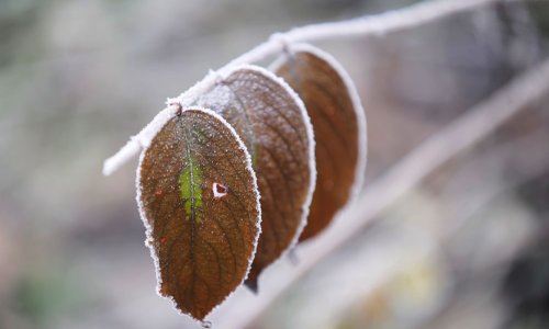 Do kraja tjedna ćemo se pošteno smrzavati