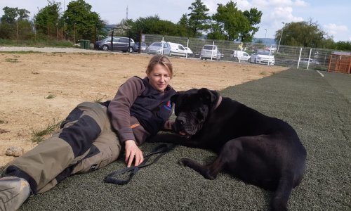 Pas koji je na Ksaveru napao nekoliko ljudi prošao socijalizaciju: 'Otto je novi pas'