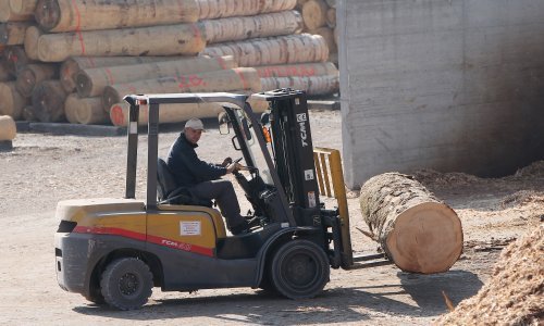 U Hrvatskoj proizvedeno manje drva nego lani, a cijene porasle