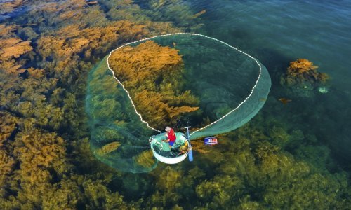 U Novskoj kreće proizvodnja algi za farmaceutsku industriju, doznajte sve o investiciji vrijednoj 6,6 milijuna eura