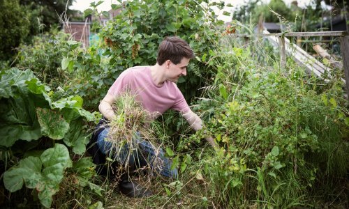 Kako se riješiti korova u vrtu s jeftinim sastojcima koje svi imamo kod kuće