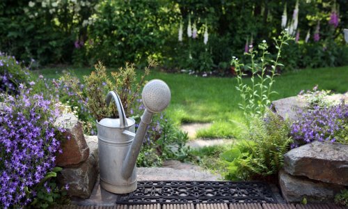 Jako sunce i visoke temperature mogu biti kobni: Koliko često je potrebno zalijevati cvijeće u vrtu?