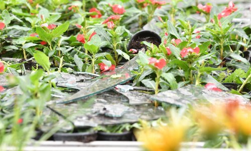 Nakon teških posljedica tuče u javnu raspravu upućen natječaj za obnovu poljoprivrednog zemljišta, evo što to znači za korisnike