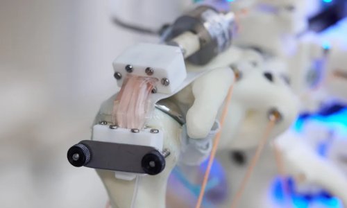 Znanstvenici su uzgojili stanice na robotskom kosturu, evo što to znači za budućnost
