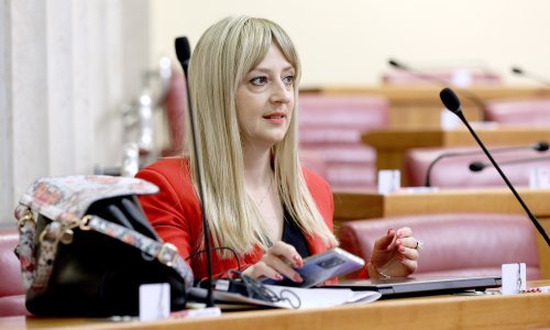 Jedan posebni skrbnik trebao bi štititi interese čak 445 djece, Centar za posebno skrbništvo je preopterećen