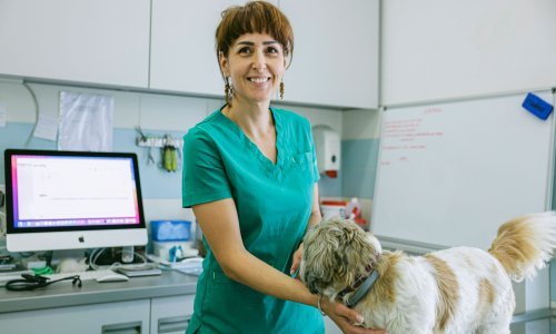 Razgovarali smo s veterinarkom o tome kako zaštititi ljubimce od opasnosti koje vrebaju tijekom ljetnih mjeseci
