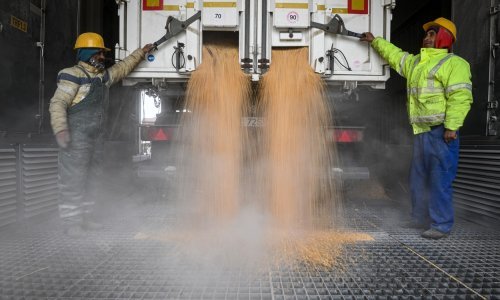 Ukrajinsko žito i dalje je zarobljeno, izvoz morem je nemoguć, a kopnom ide sporo i nikako. Kako riješti gorući problem?