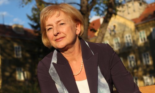 Ravnateljica DHMZ-a: Nema dokaza da je protugradna obrana učinkovita