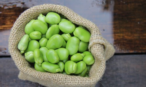 Pripremite pomalo zaboravljeni bob na ovaj jednostavan način i oduševite ukućane zdravim obrokom