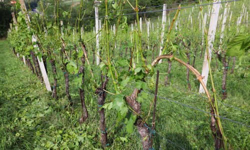 Kolar proglasio nepogodu za gradove Klanjec i Oroslavje te tri općine