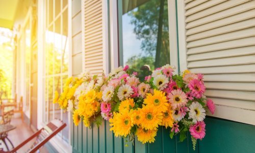 Prekrasne žardinjere teško će bilo što nadmašiti, no ključno ih je pravilo postaviti: Četiri ključna koraka za najljepše prizore na prozorskim daskama