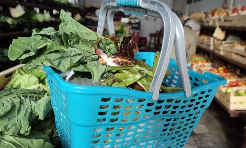 Imate li ovaj proizvod? Povlači se s polica zbog povišene razine pesticida