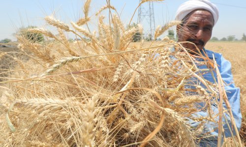 Cijene hrane u svijetu u travnju porasle po prvi put u godini dana