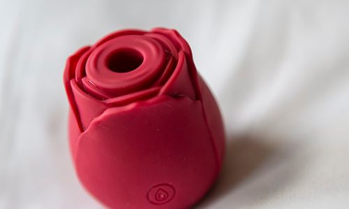 Seksi 'ruža' s TikToka baca žene u ekstazu