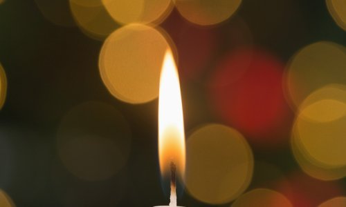 Preminula novinarka i urednica 'Poljoprivredne emisije' Ružica Trauber