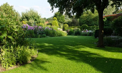 Za vrt koji izaziva zadivljene poglede: Najbolji savjeti za prekrasno zelen travnjak čitave sezone