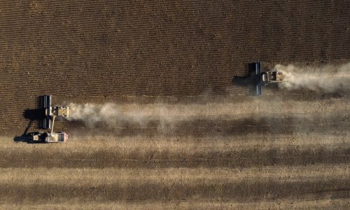 Cijena pšenice i dalje divlja: Ni najava deblokade ukrajinskih luka ne ublažava crne prognoze