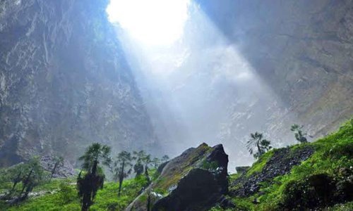 Kinezi istraživali jamu, pa na njezinom dnu otkrili drevnu šumu