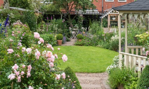 Što kada zeleno lišće na biljkama u vrtu požuti? Ovo su najčešći razlozi