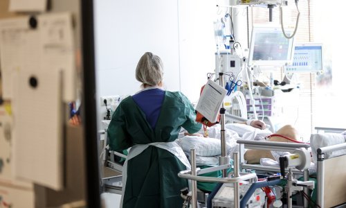 U Njemačkoj se pojavio rijedak, ali smrtonosni virus Borna: Doznajte tko ga prenosi i kako se zaštititi