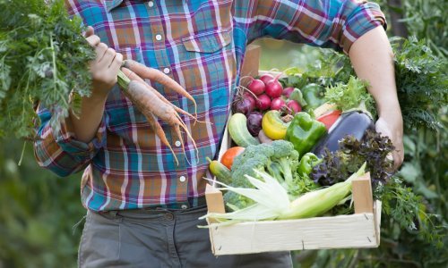 Kako prehranom očuvati zdravlje mozga: Postoje stvari koje možete učiniti kako biste smanjili šanse za razvoj demencije
