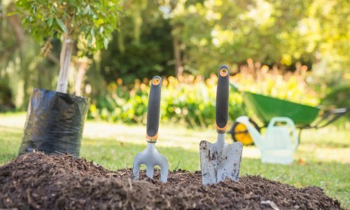 Biljke nikako ne uspijevate održati na životu? Ove će vam aplikacije pomoći u tome